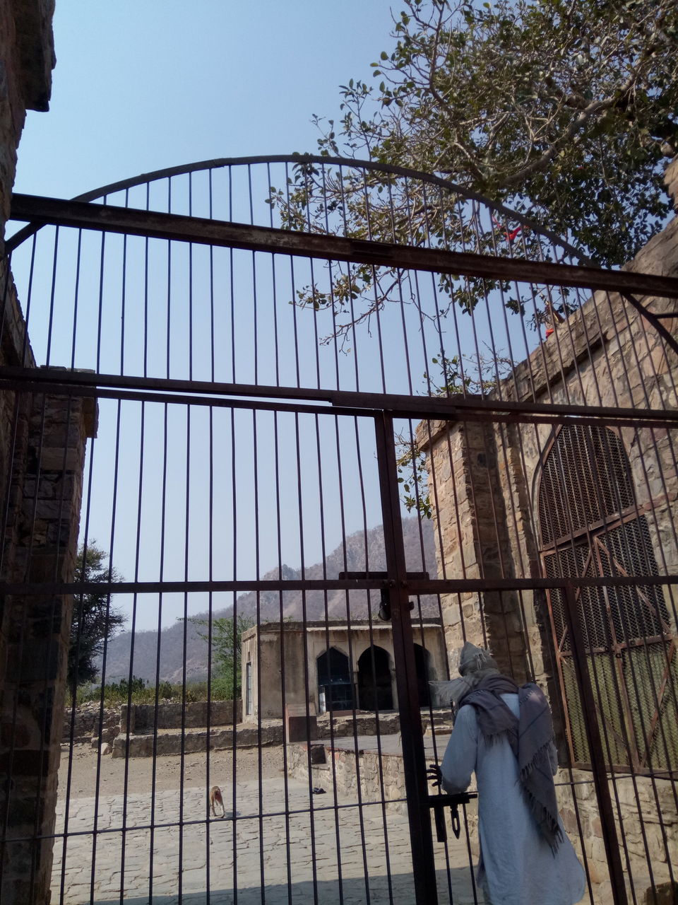 Photo of Unplanned visit to Bhangarh - most haunted place of India 2/19 by TeamTripsUp
