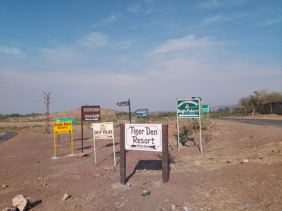Photo of BHANGARH to Ranthambore - the Journey by TeamTripsUp