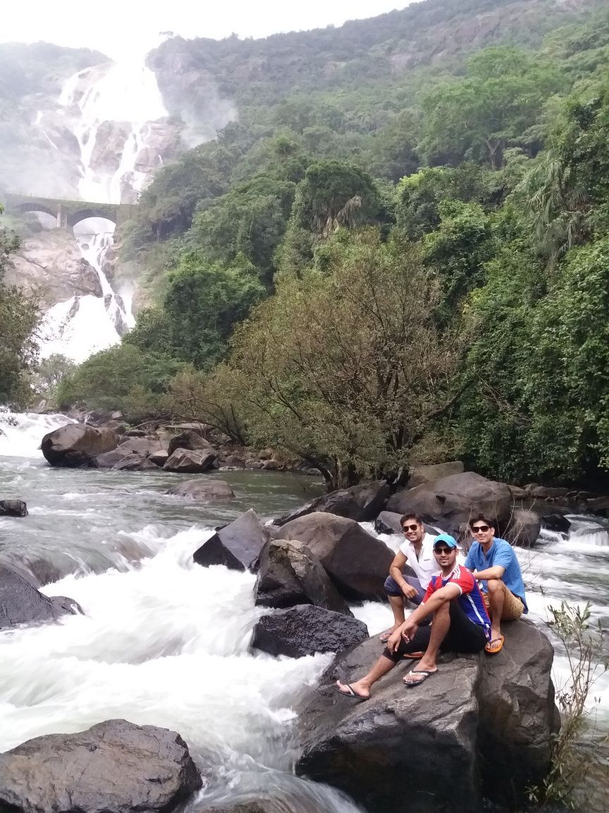 Photo of Go Goa must visit place (dudhsagar waterfall) by Ankit Bhardwaj