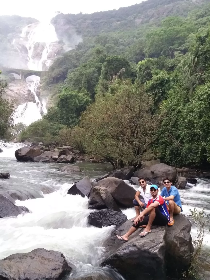 Photo of Go Goa must visit place (dudhsagar waterfall) by Ankit Bhardwaj