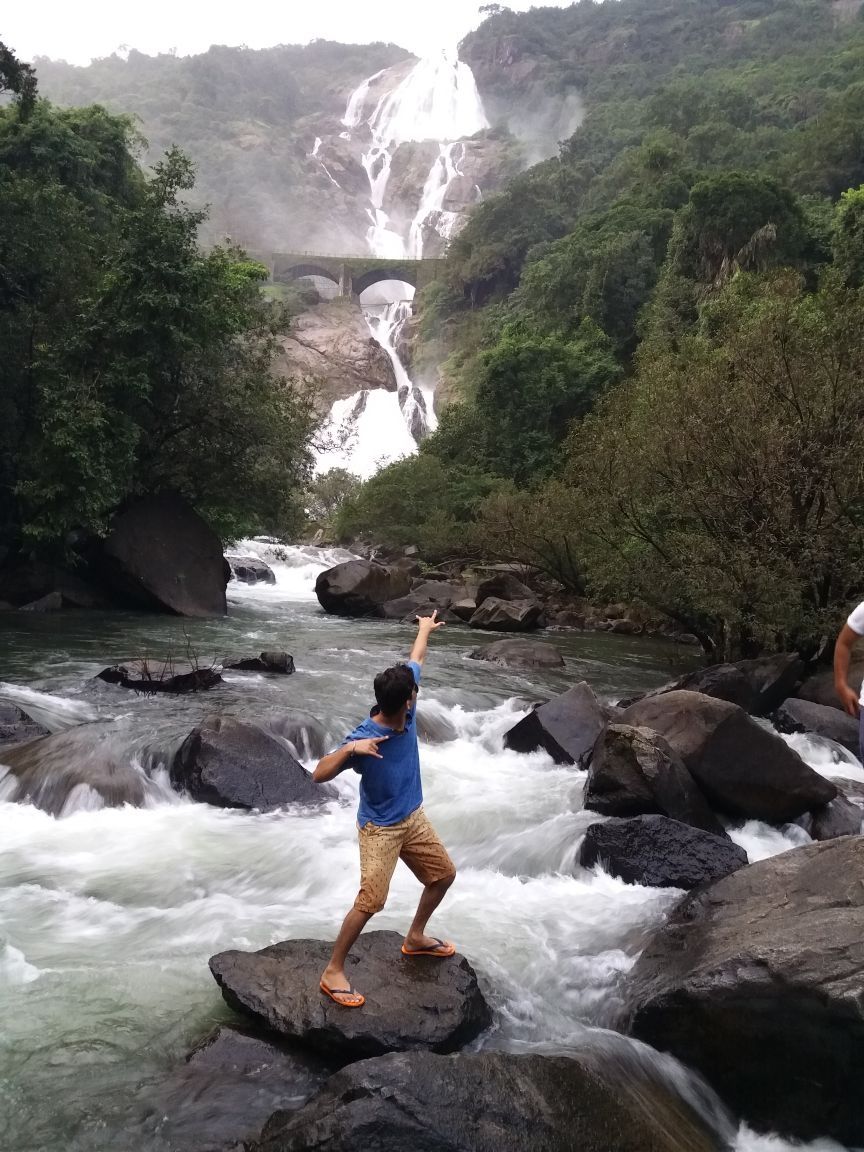 Photo of Go Goa must visit place (dudhsagar waterfall) by Ankit Bhardwaj