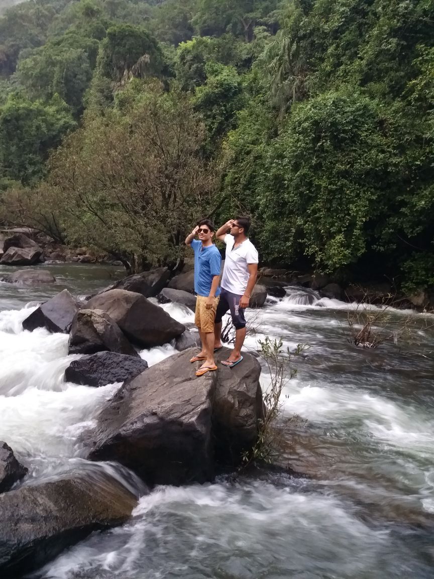 Photo of Go Goa must visit place (dudhsagar waterfall) by Ankit Bhardwaj