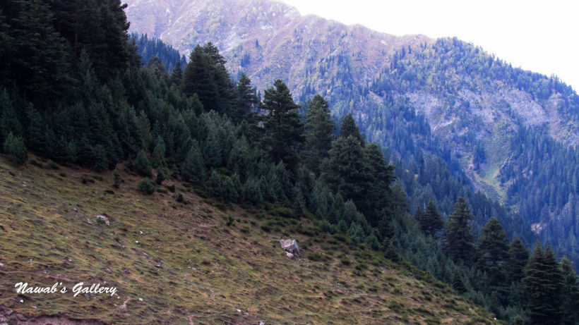 Photo of Naran, Pakistan by Nawab Tanweer Ahmad