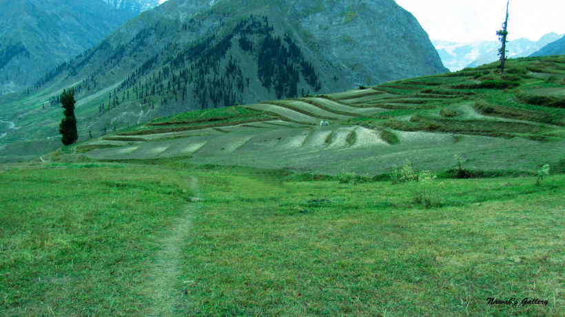 Photo of Lalazar Road, Batakundi, Pakistan by Nawab Tanweer Ahmad