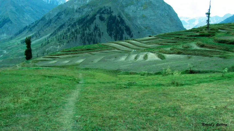 Photo of Lalazar Road, Batakundi, Pakistan by Nawab Tanweer Ahmad