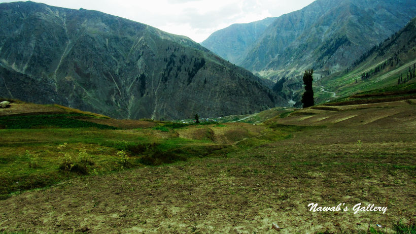 Photo of Lalazar Road, Batakundi, Pakistan by Nawab Tanweer Ahmad
