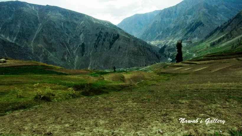 Photo of Lalazar Road, Batakundi, Pakistan by Nawab Tanweer Ahmad