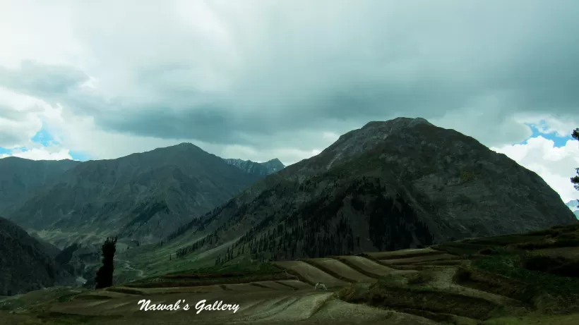 Photo of Lalazar Road, Batakundi, Pakistan by Nawab Tanweer Ahmad