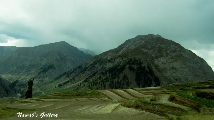 Photo of Lalazar Road, Batakundi, Pakistan by Nawab Tanweer Ahmad