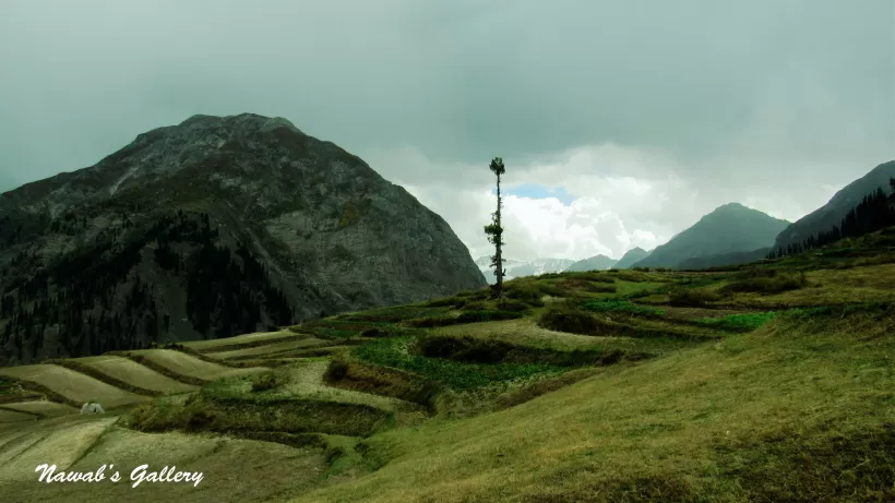 Photo of Lalazar Road, Batakundi, Pakistan by Nawab Tanweer Ahmad