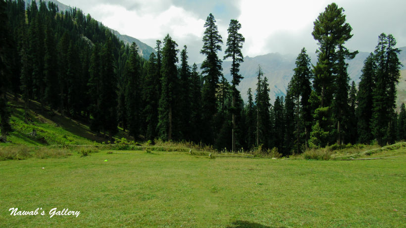 Photo of Lalazar Road, Batakundi, Pakistan by Nawab Tanweer Ahmad