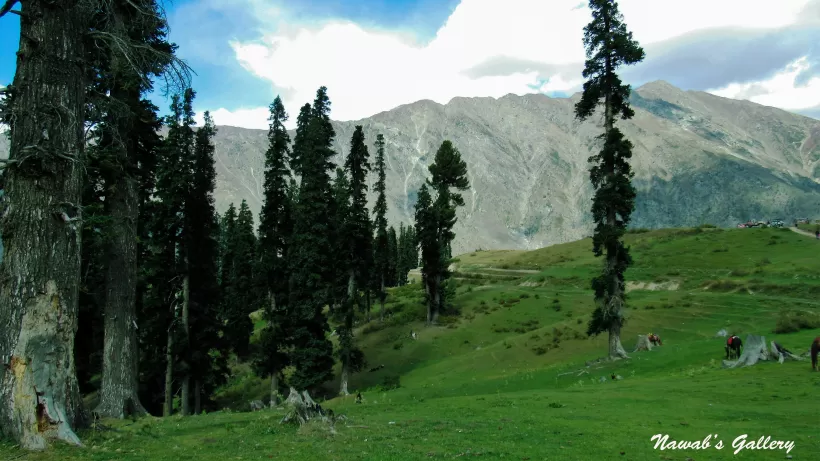 Photo of Lalazar Road, Batakundi, Pakistan by Nawab Tanweer Ahmad
