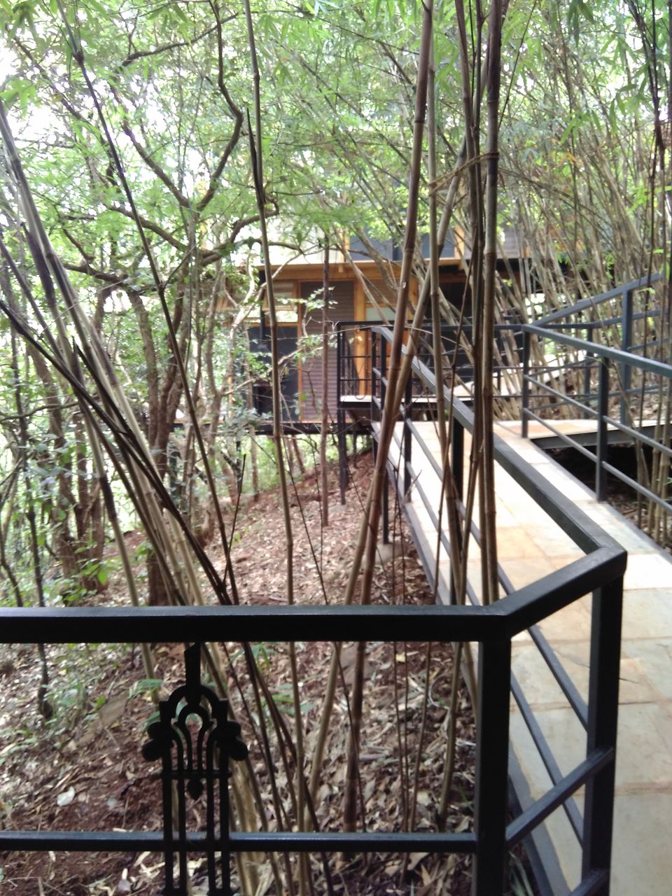 Photo of Treehouse Getaway Out of Mumbai: A Hop, Skip & Jump Away! 1/31 by Rajita Ramachandram