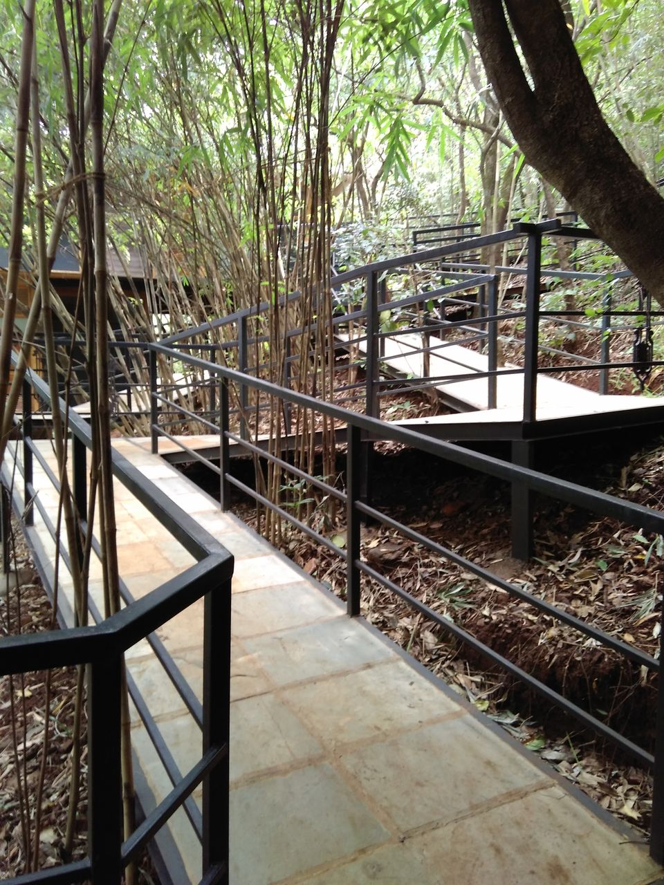 Photo of Treehouse Getaway Out of Mumbai: A Hop, Skip & Jump Away! 2/31 by Rajita Ramachandram