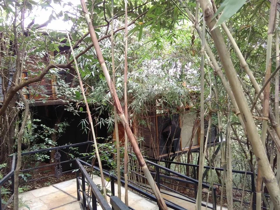 Photo of The Machan, Atvan, Maharashtra, India by Rajita Ramachandram 