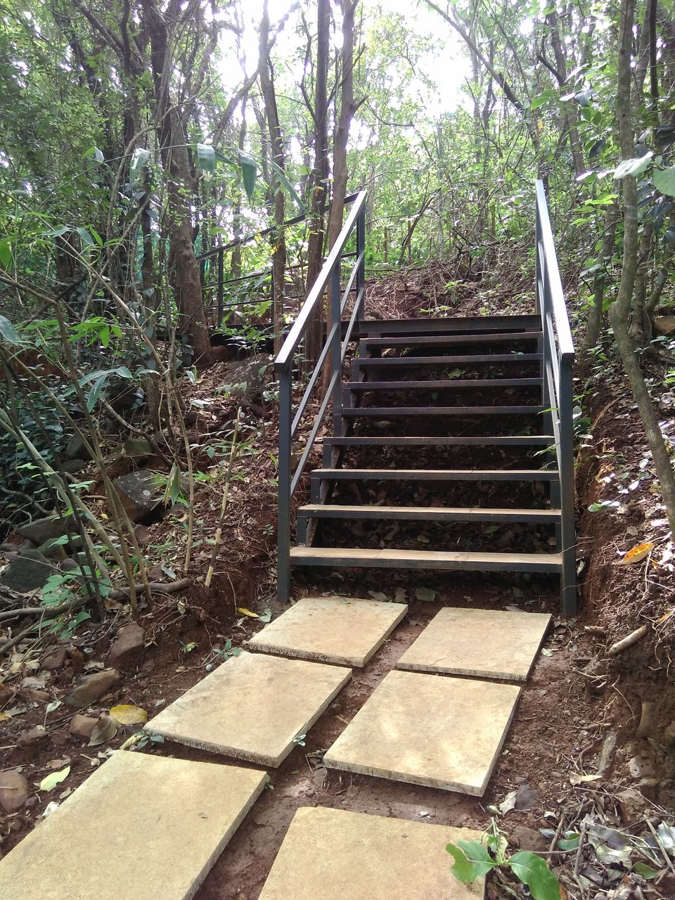 Photo of Treehouse Getaway Out of Mumbai: A Hop, Skip & Jump Away! 4/31 by Rajita Ramachandram