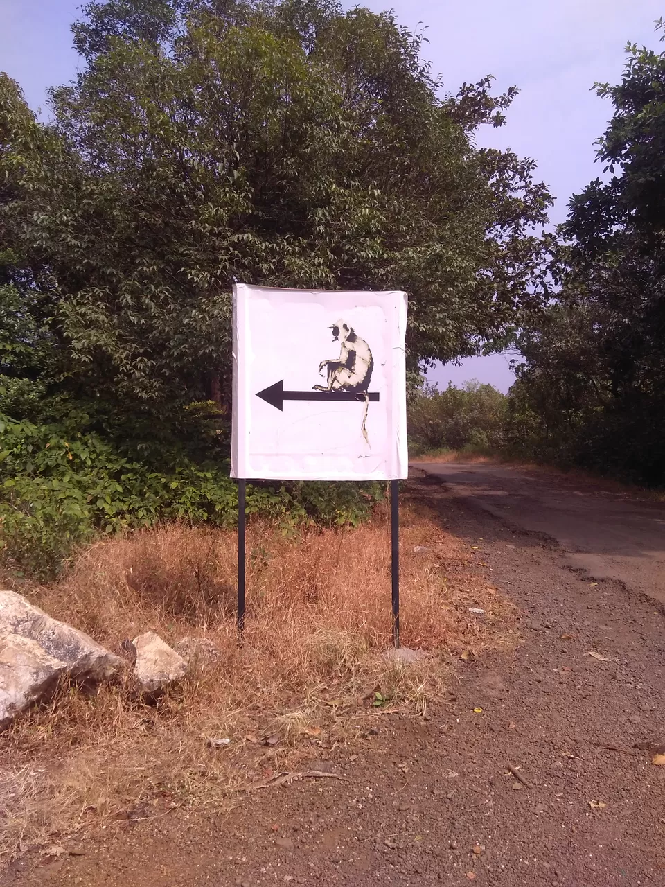 Photo of The Machan, Atvan, Maharashtra, India by Rajita Ramachandram 