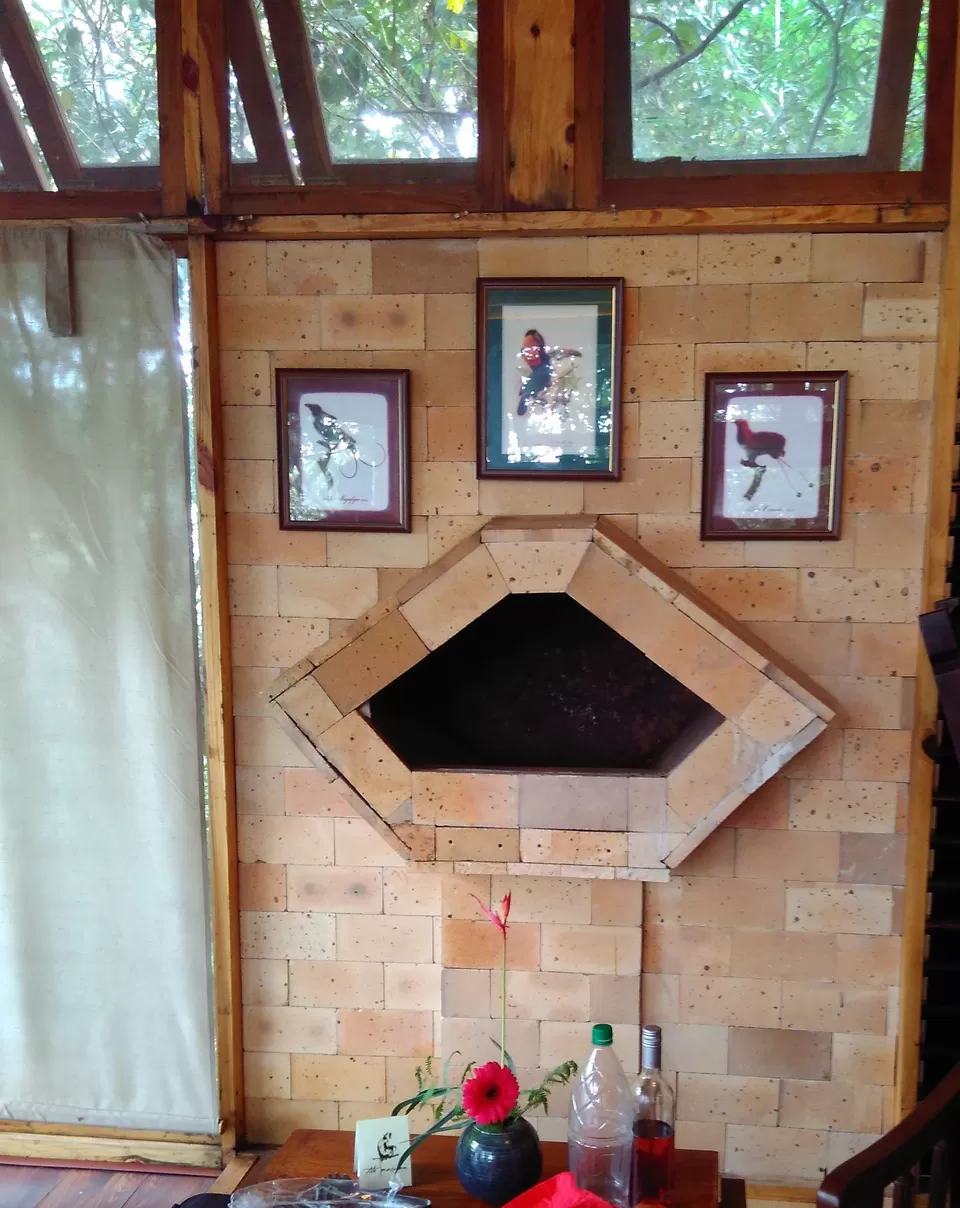 Photo of The Machan, Atvan, Maharashtra, India by Rajita Ramachandram 