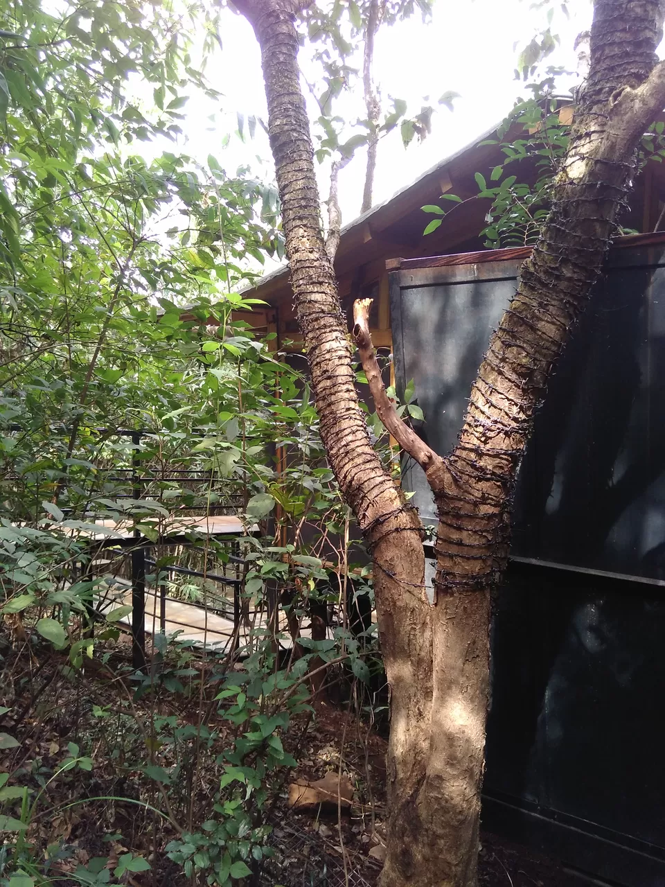 Photo of The Machan, Atvan, Maharashtra, India by Rajita Ramachandram 