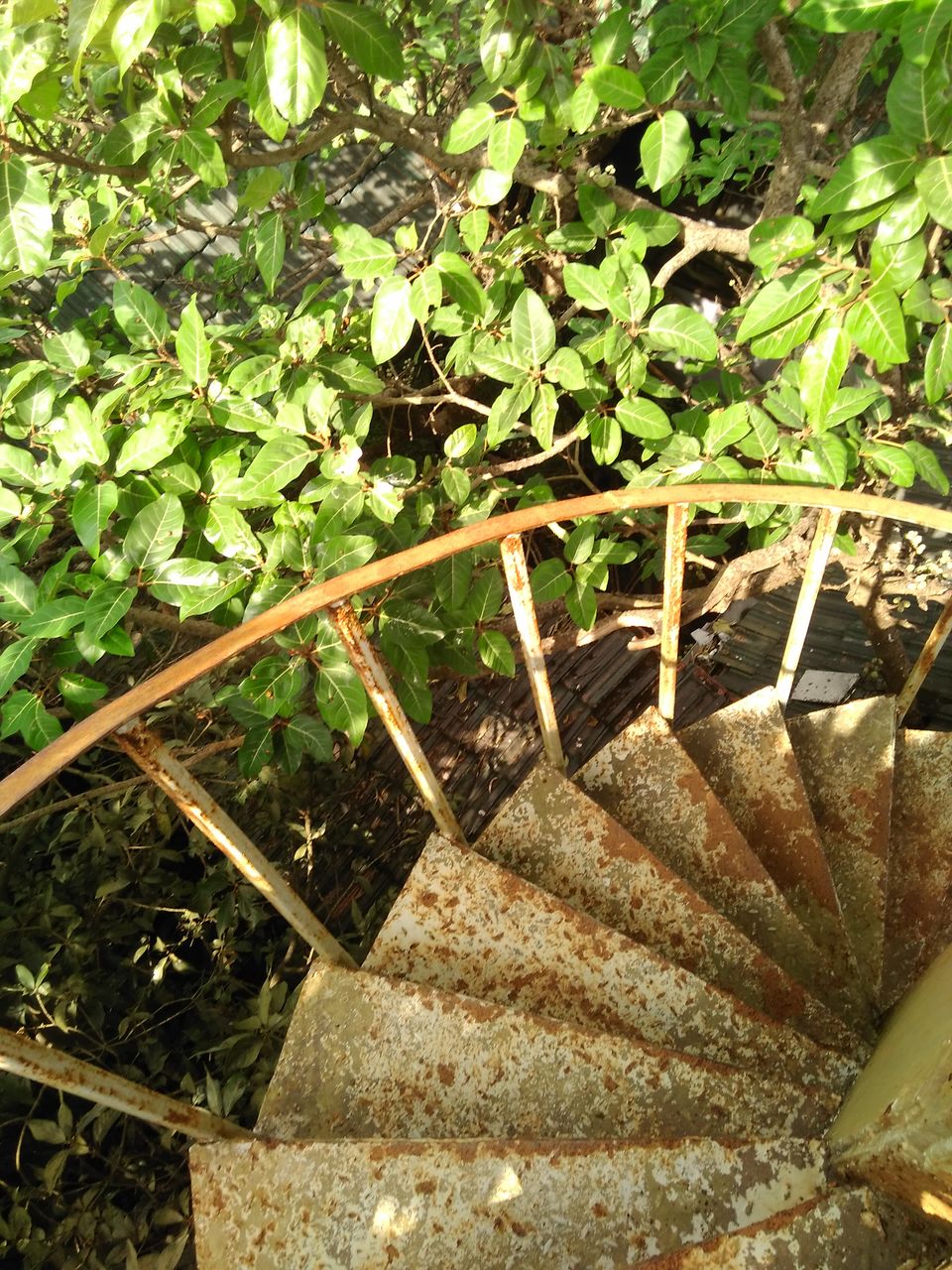 Photo of Treehouse Getaway Out of Mumbai: A Hop, Skip & Jump Away! 22/31 by Rajita Ramachandram