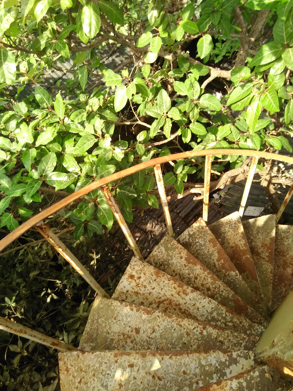 Photo of The Machan, Atvan, Maharashtra, India by Rajita Ramachandram 