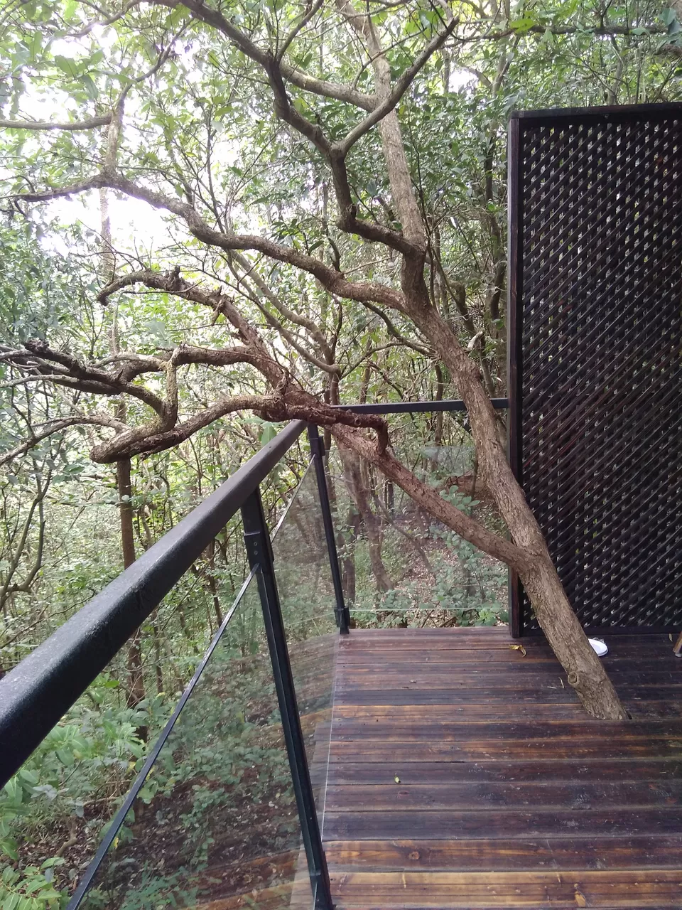 Photo of The Machan, Atvan, Maharashtra, India by Rajita Ramachandram 