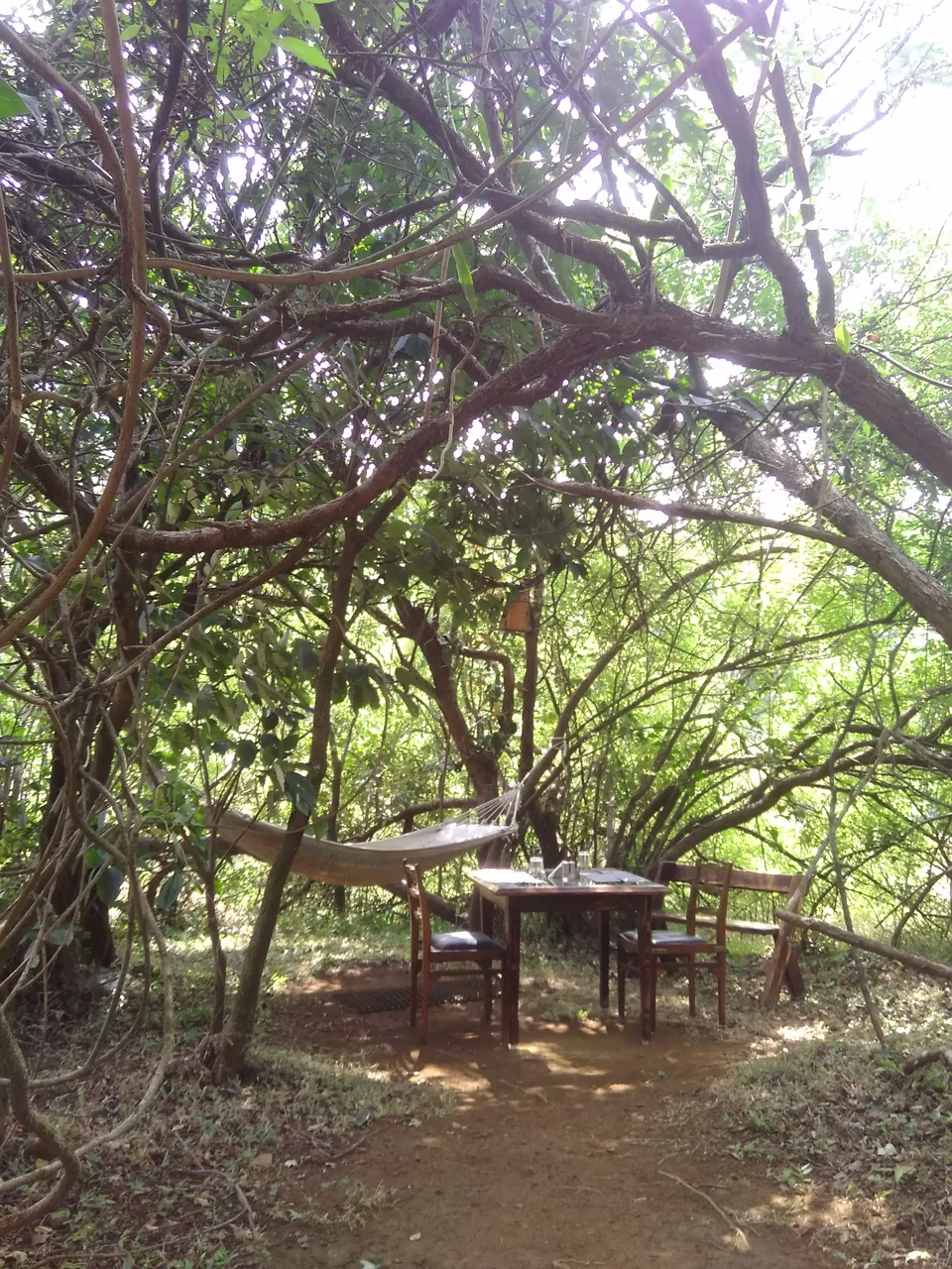 Photo of The Machan, Atvan, Maharashtra, India by Rajita Ramachandram 