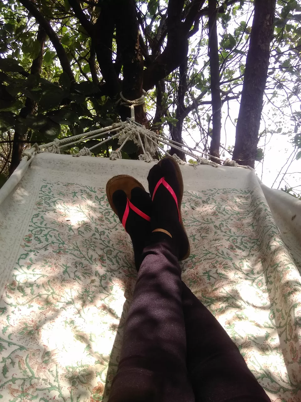 Photo of The Machan, Atvan, Maharashtra, India by Rajita Ramachandram 