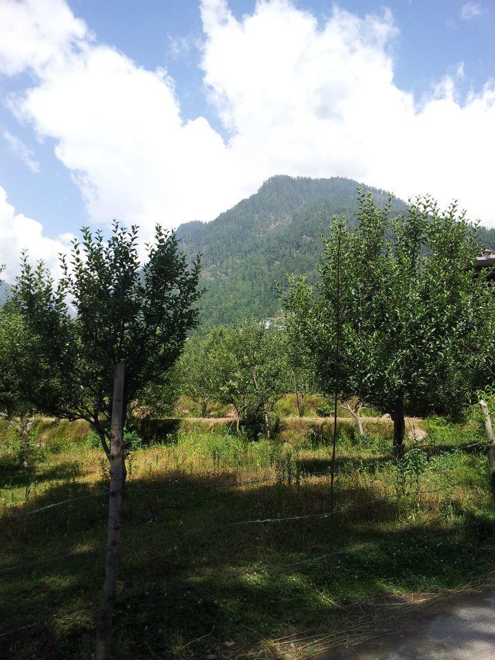 Photo of Backpacking in Manali by Anshuman Animesh