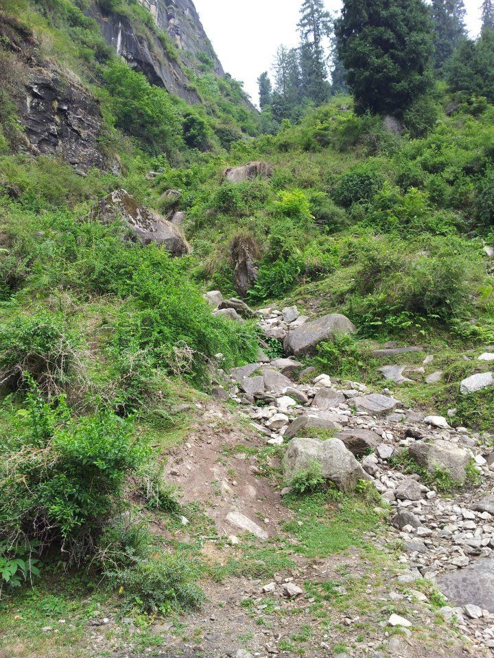Photo of Backpacking in Manali by Anshuman Animesh