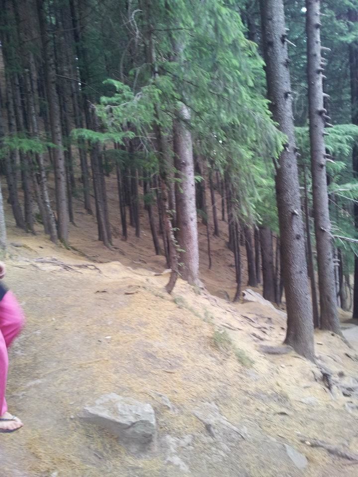 Photo of Backpacking in Manali by Anshuman Animesh