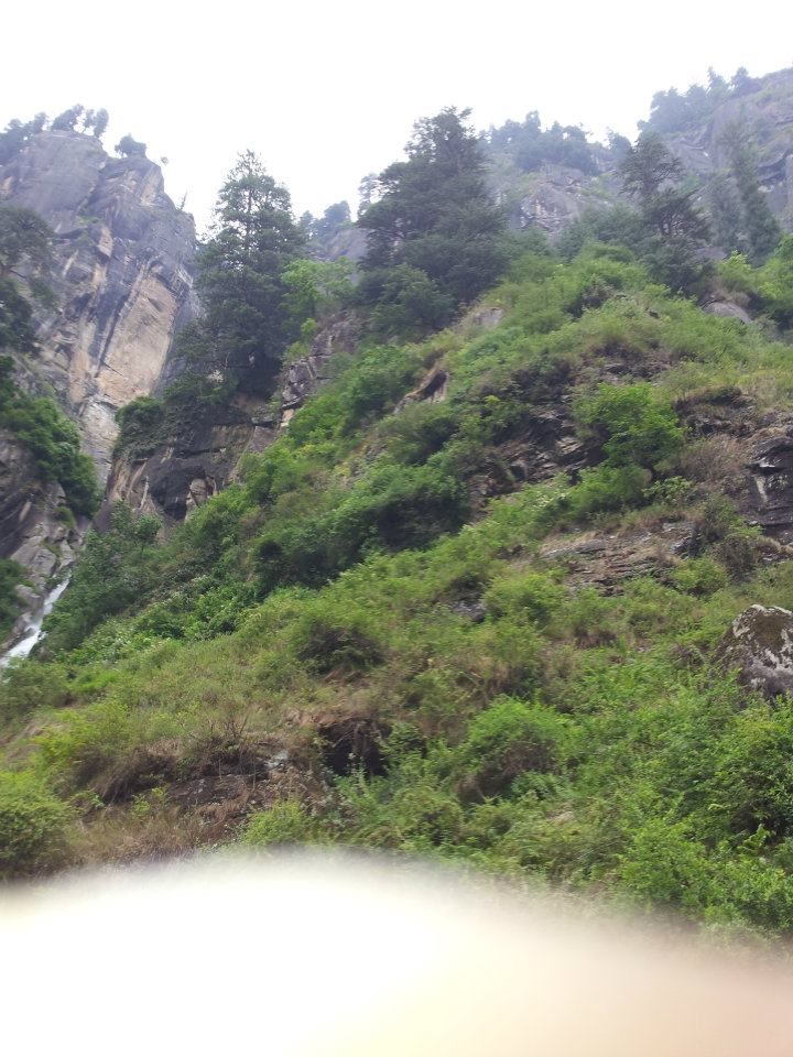 Photo of Backpacking in Manali by Anshuman Animesh