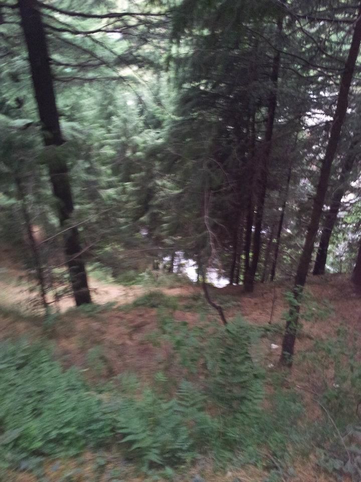 Photo of Backpacking in Manali by Anshuman Animesh