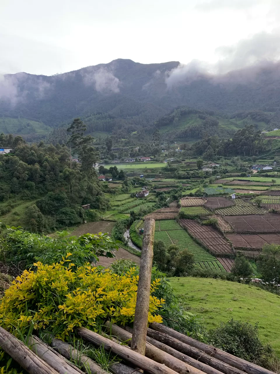 Photo of Munnar, Kerala, India by Cloudwalker!