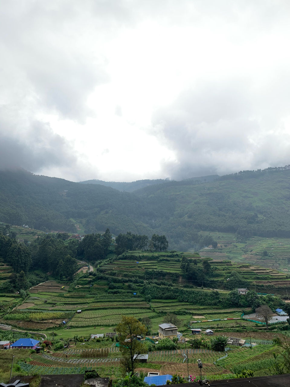 Photo of Munnar, Kerala, India by Cloudwalker!