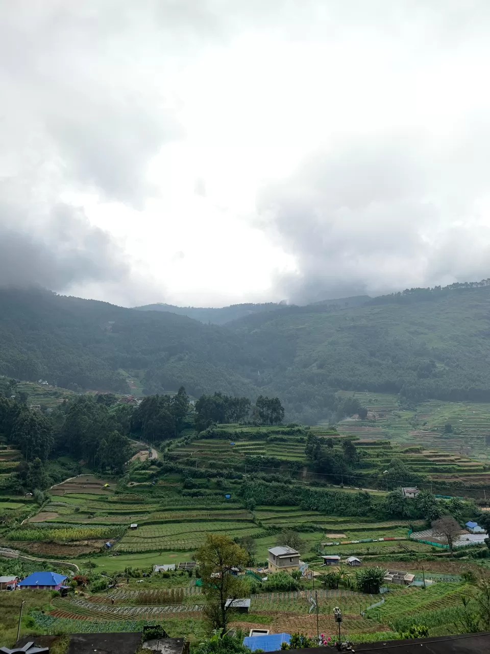 Photo of Munnar, Kerala, India by Cloudwalker!