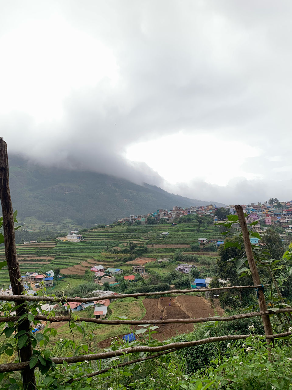 Photo of Koviloor - Top Station Road, Vattavada, Kerala, India by Cloudwalker!