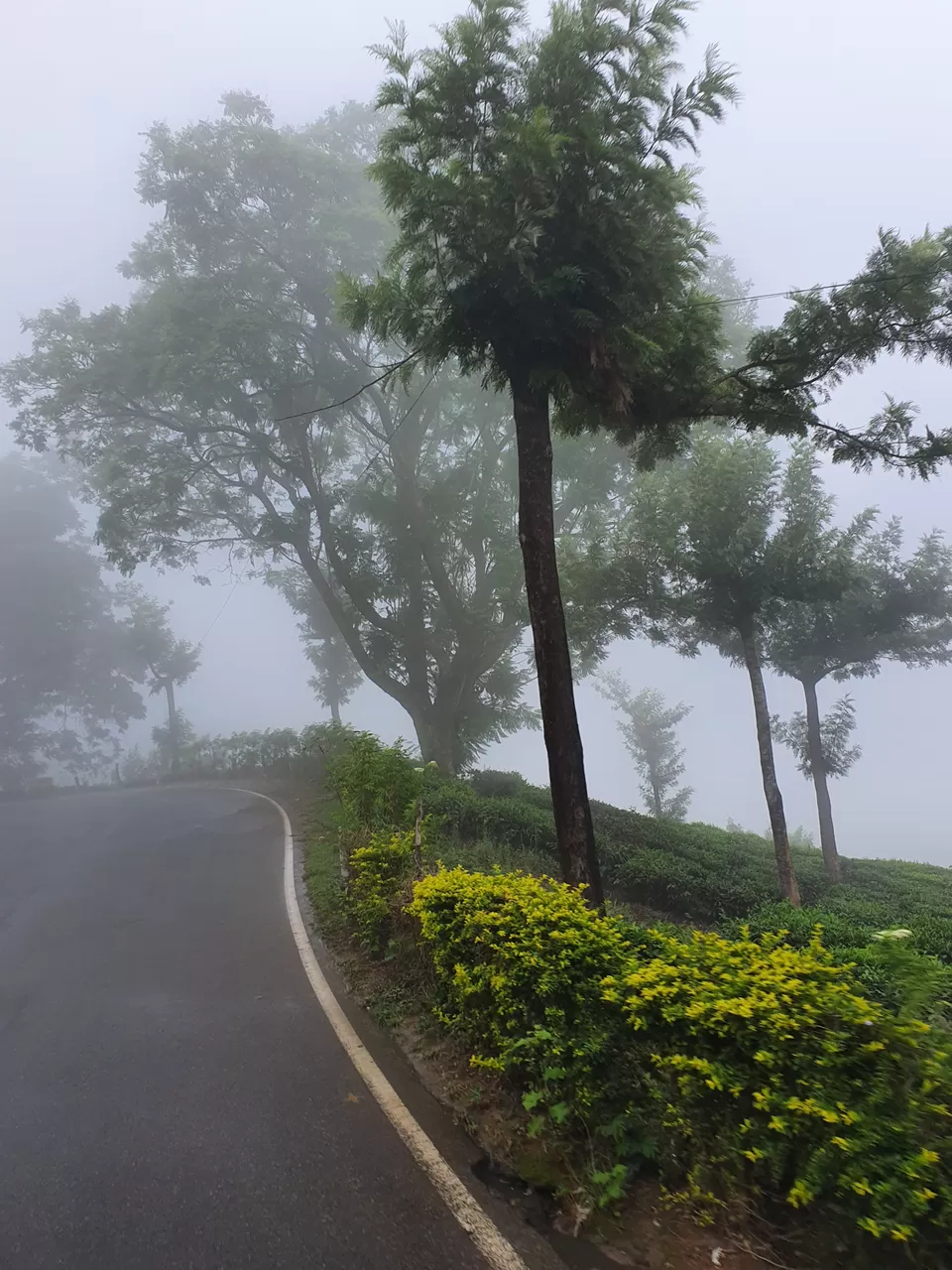 Photo of Vattavada viewpoint, Vattavada, Kerala, India by Cloudwalker!
