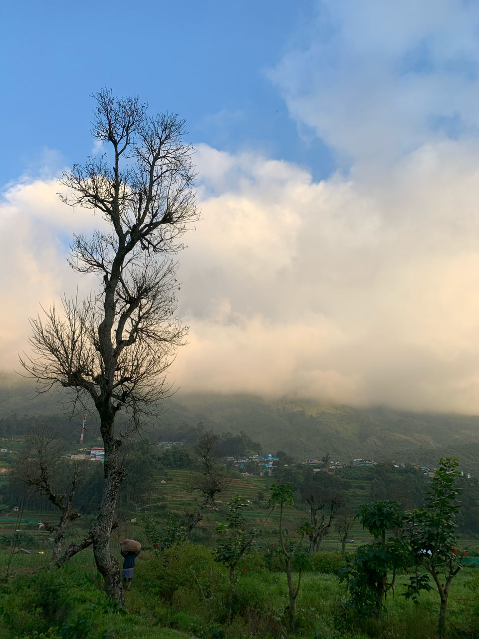 Photo of Pazhathottam Viewpoint, pazhathottam, Koviloor, Kerala, India by Cloudwalker!
