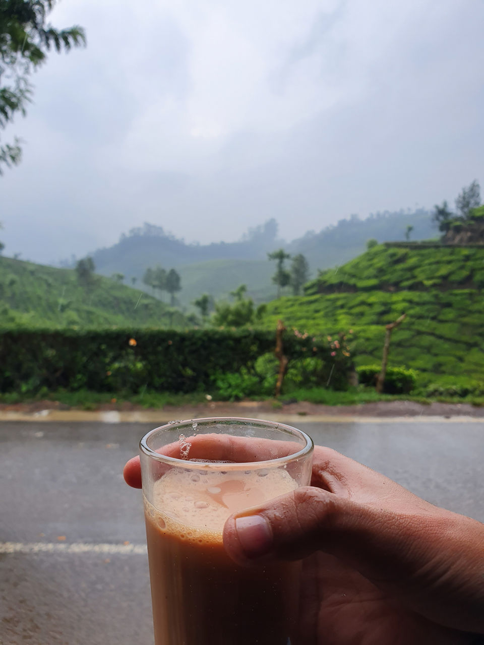 Photo of Munnar, Kerala, India by Cloudwalker!