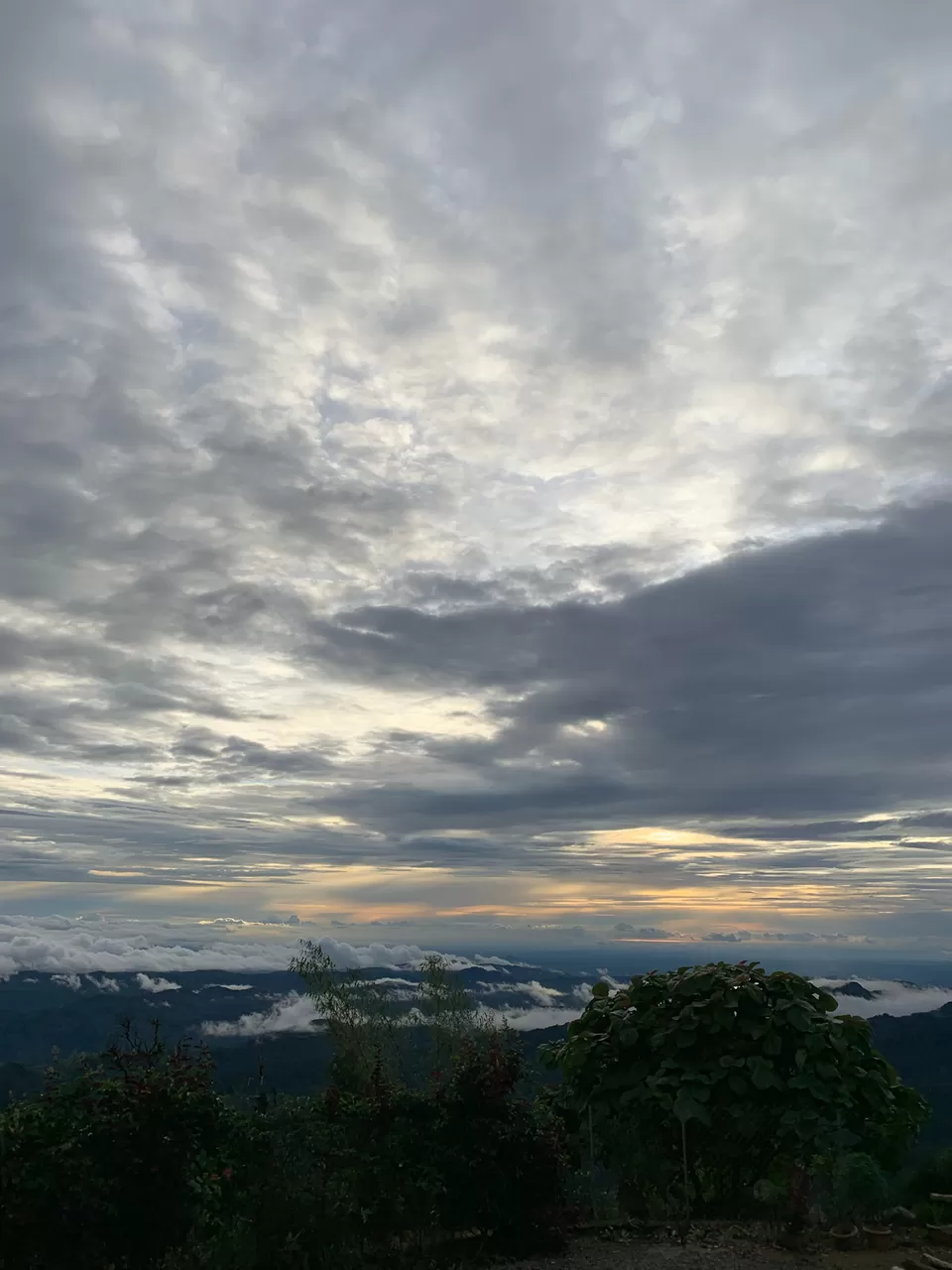 Photo of Tentgram, Kallar - Mankulam Road, Kallar Vattiyar, Kerala, India by Cloudwalker!