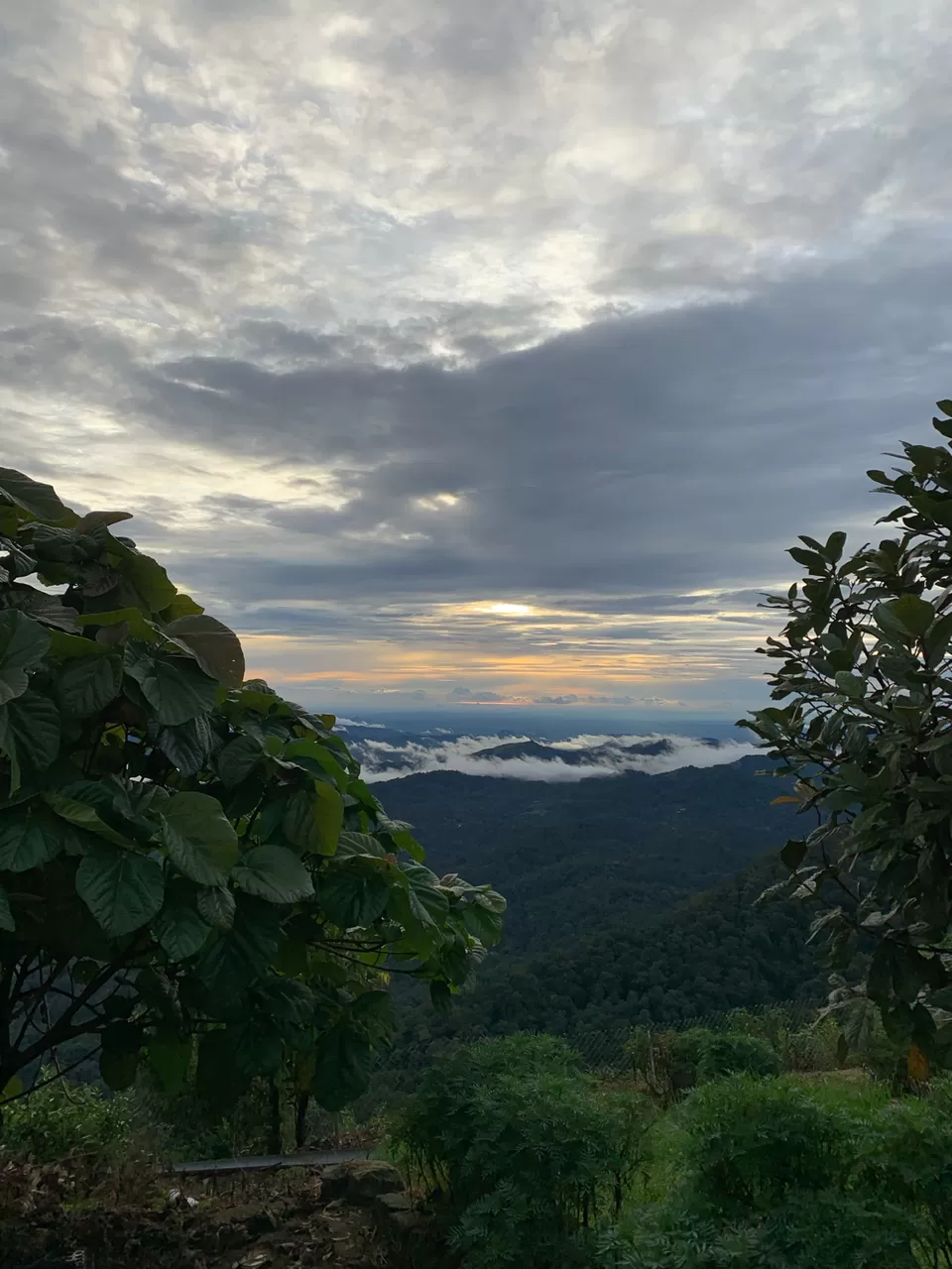 Photo of Tentgram, Kallar - Mankulam Road, Kallar Vattiyar, Kerala, India by Cloudwalker!