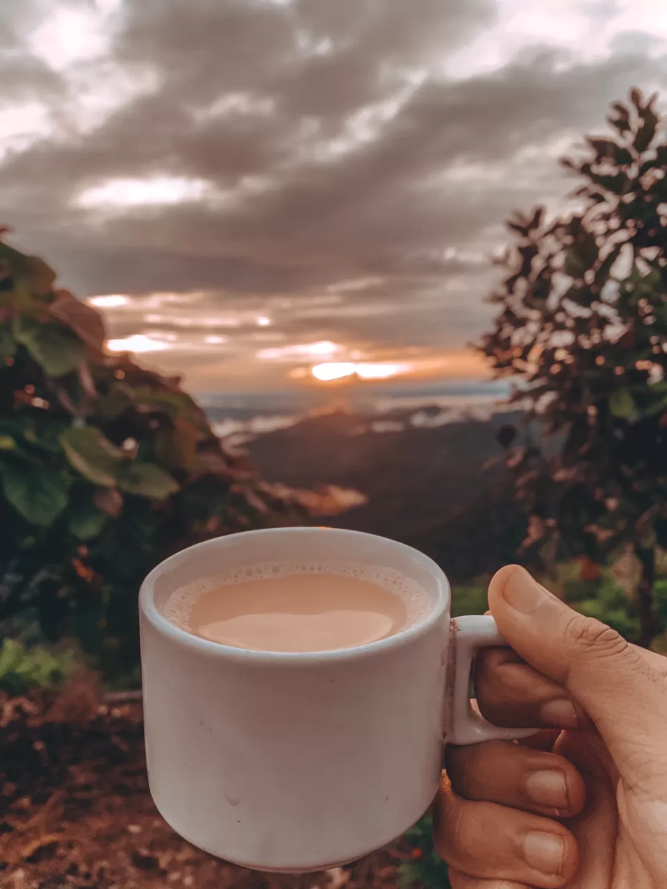 Photo of Tentgram, Kallar - Mankulam Road, Kallar Vattiyar, Kerala, India by Cloudwalker!