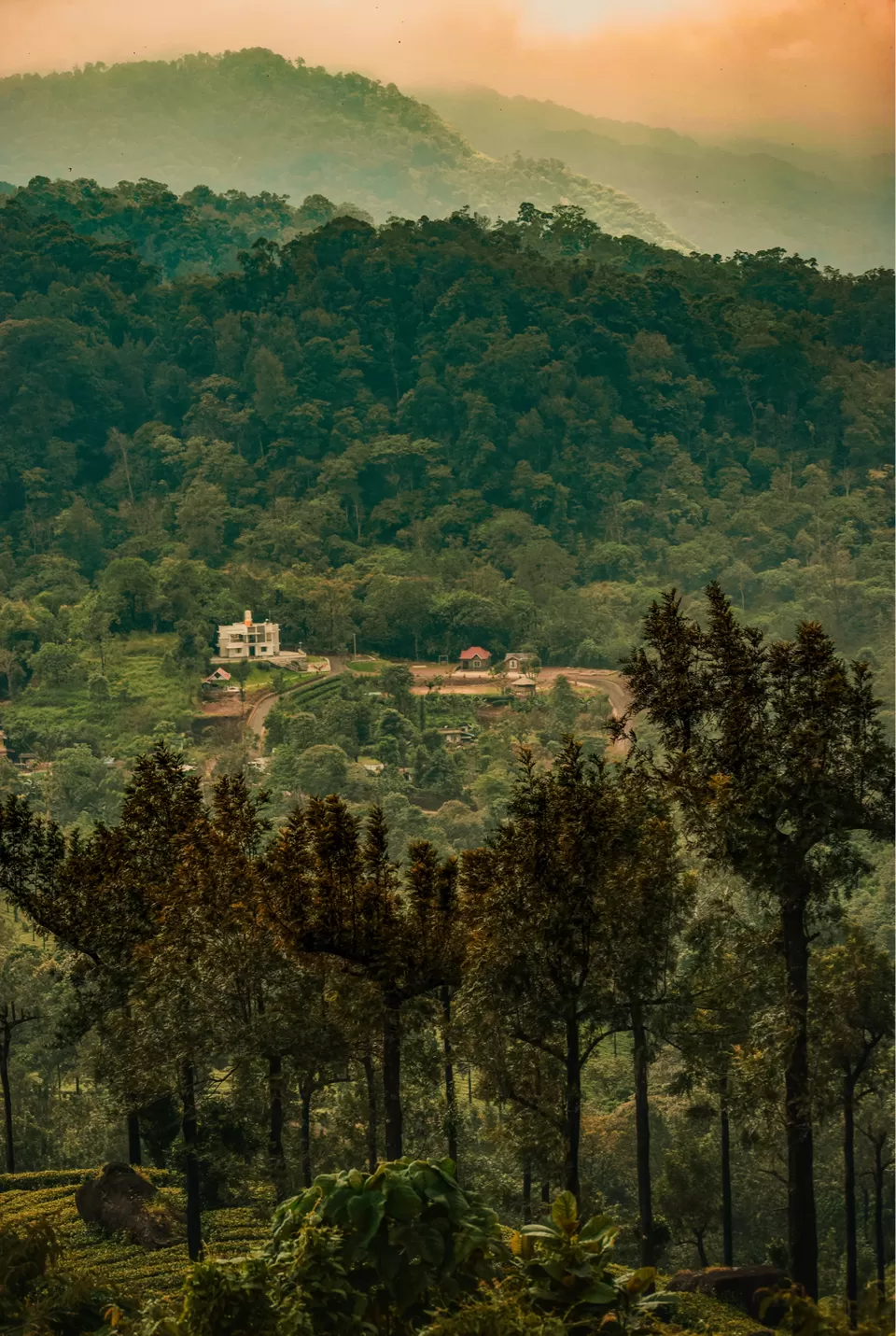 Photo of Silver Oaks Nature Retreat, Kerala, India by Cloudwalker!