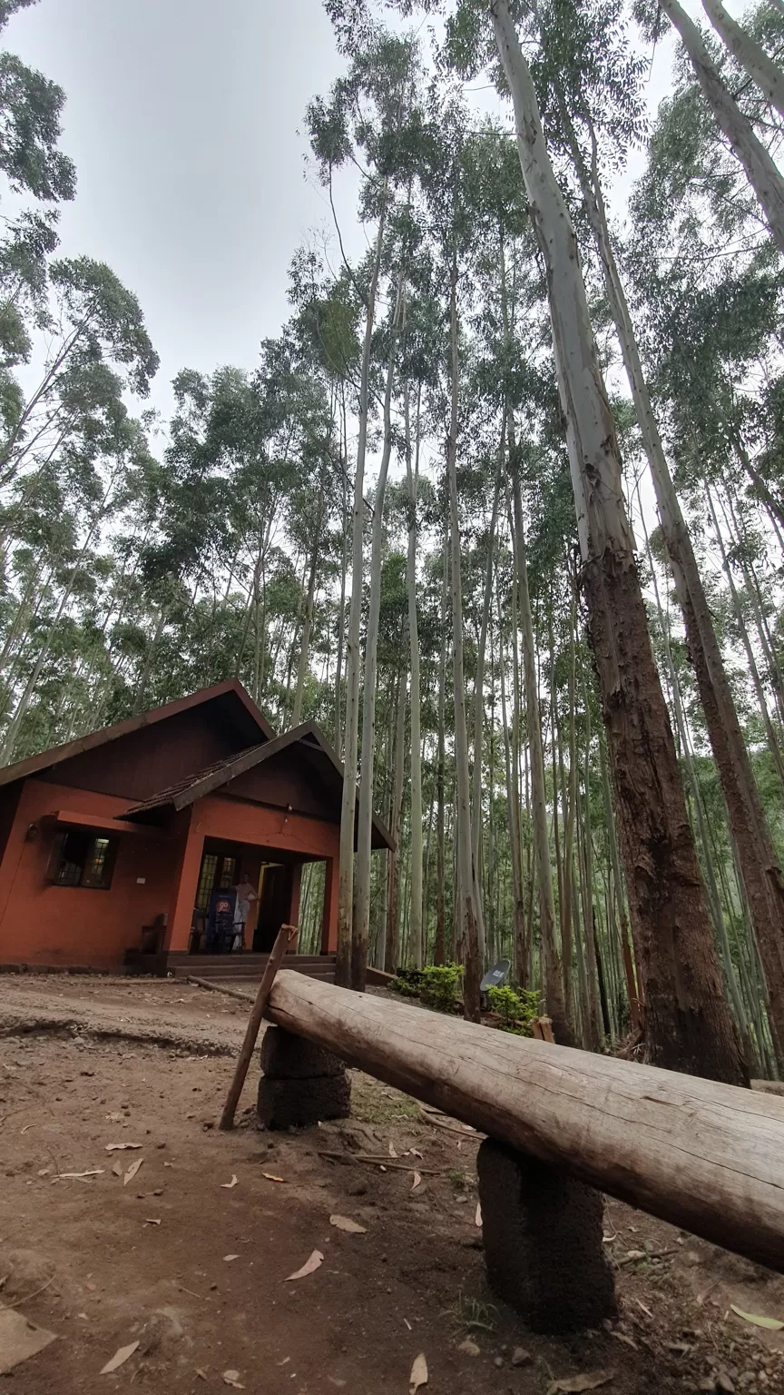 Photo of Sahari Mariental Resort, Vattavada, Kerala, India by Cloudwalker!