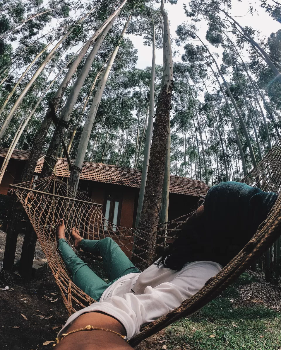 Photo of Sahari Mariental Resort, Vattavada, Kerala, India by Cloudwalker!