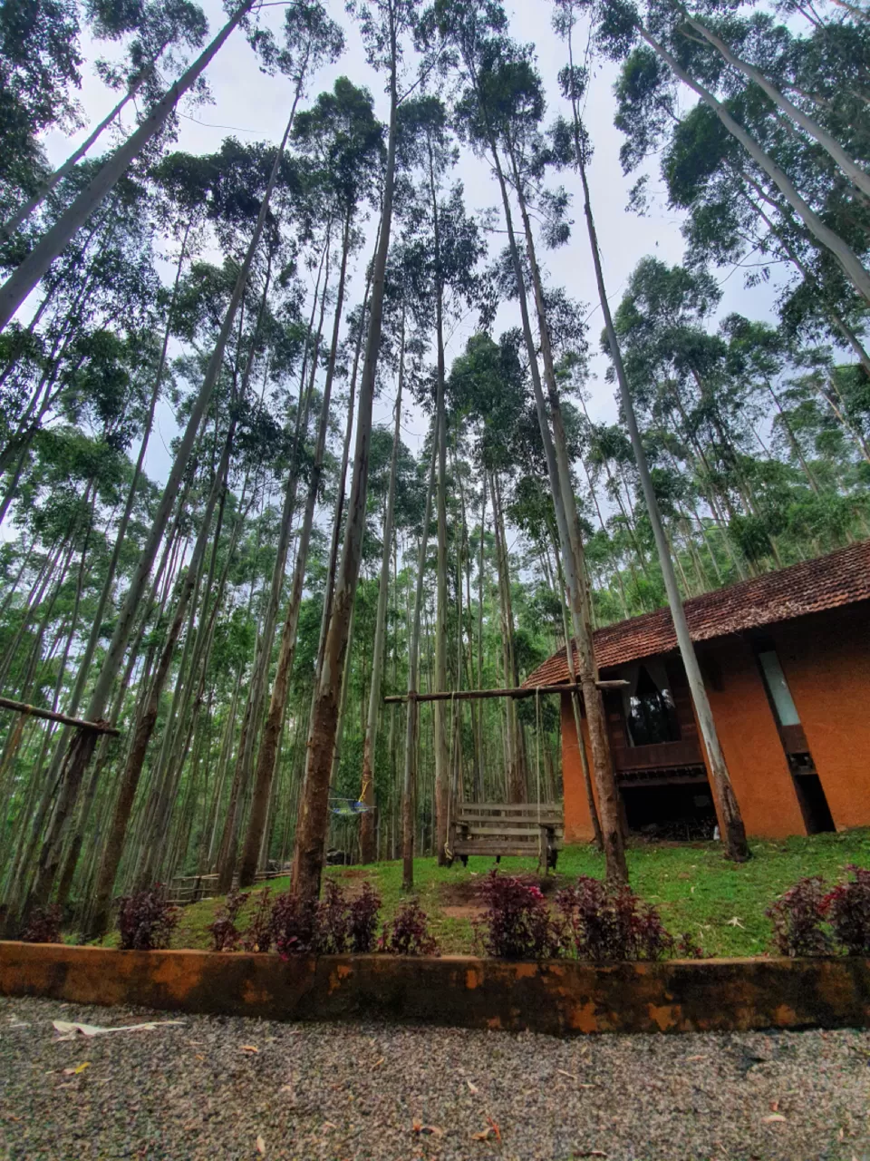 Photo of Sahari Mariental Resort, Vattavada, Kerala, India by Cloudwalker!