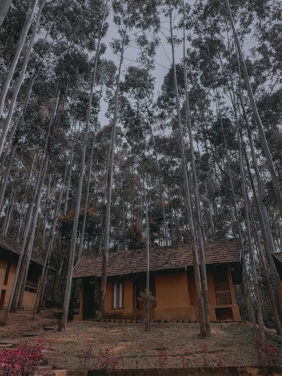 Photo of Sahari Mariental Resort, Vattavada, Kerala, India by Cloudwalker!