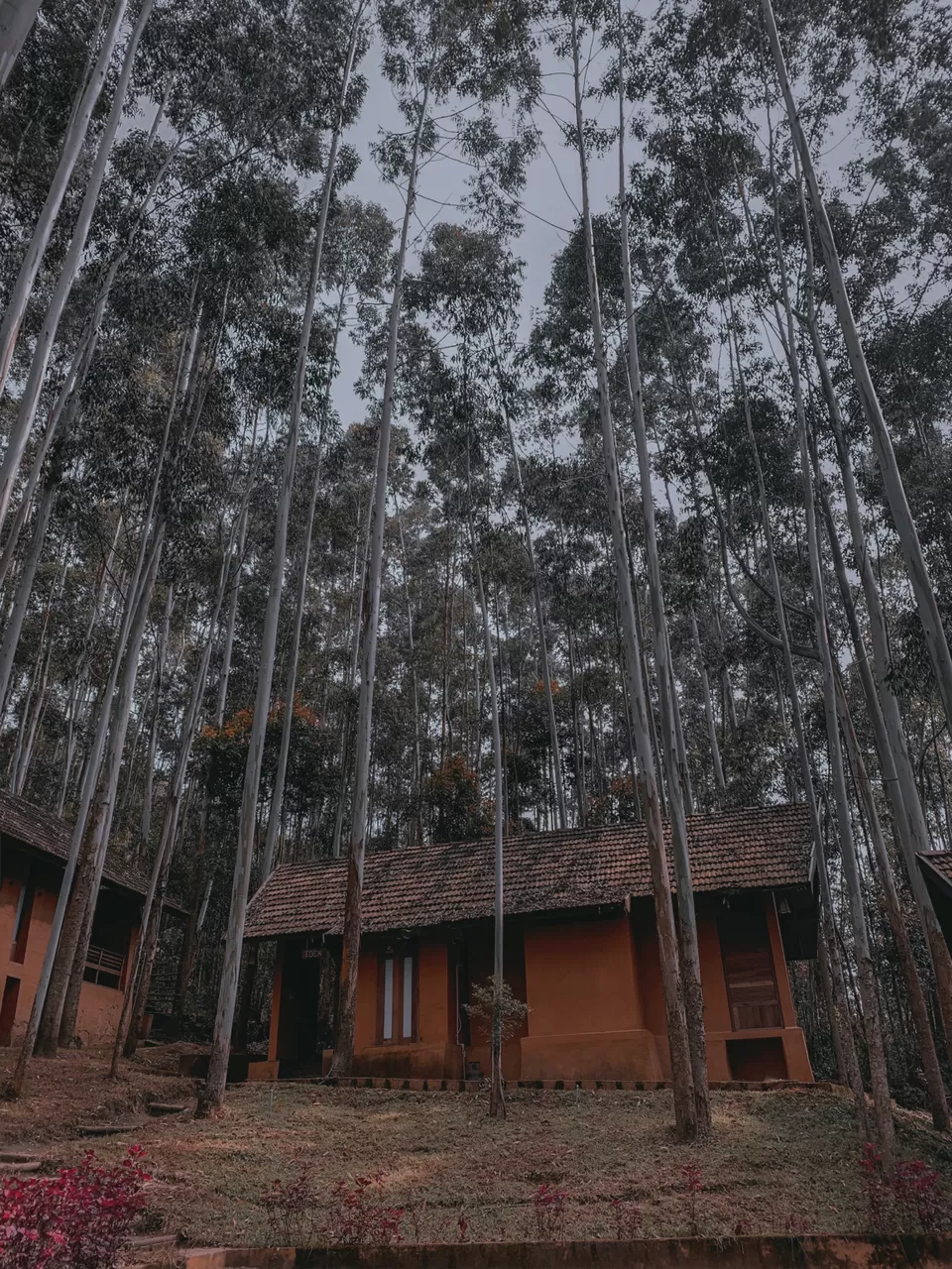 Photo of Sahari Mariental Resort, Vattavada, Kerala, India by Cloudwalker!