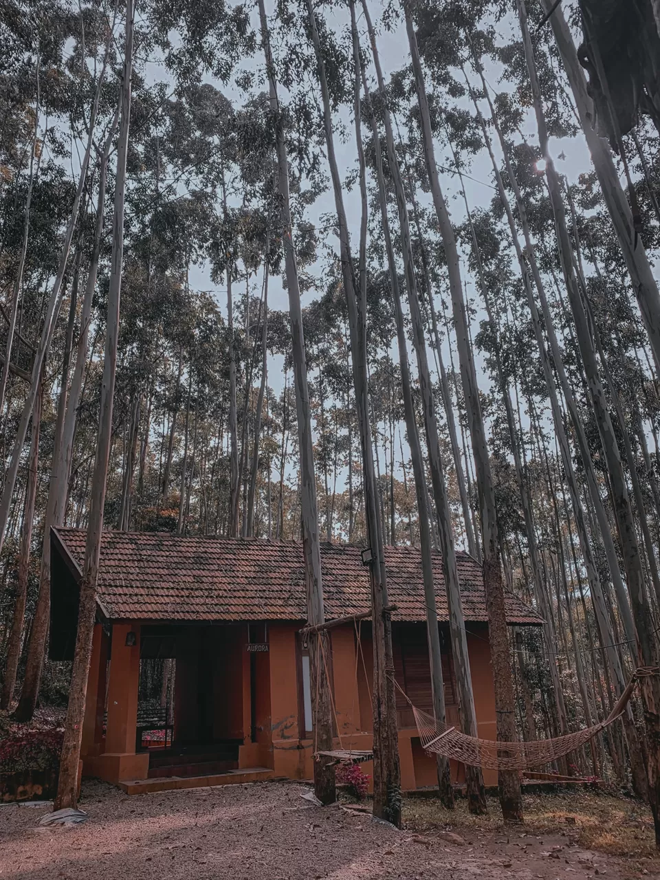 Photo of Sahari Mariental Resort, Vattavada, Kerala, India by Cloudwalker!